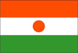 Niger Flag